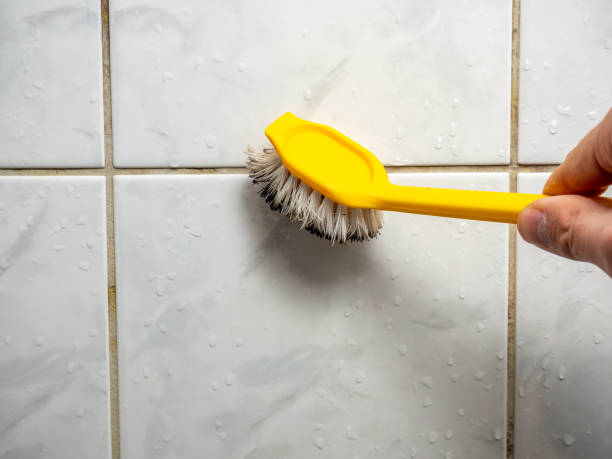 Best Attic Mold Removal  in Bonita, CA