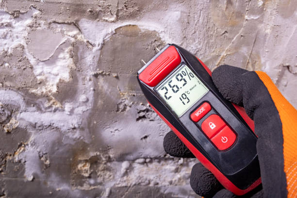 Best Commercial Mold Removal  in Bonita, CA
