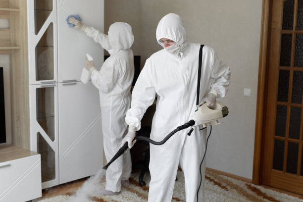 Mold Testing and Removal in Bonita, CA